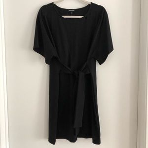 Express tie waist dress